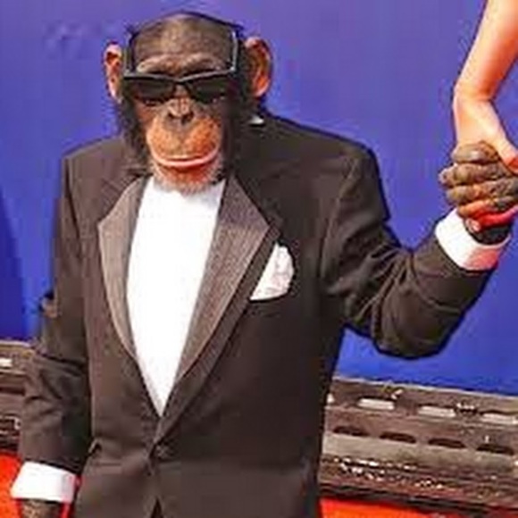 Meet your Posher, Tyler - Picture 1 of 1